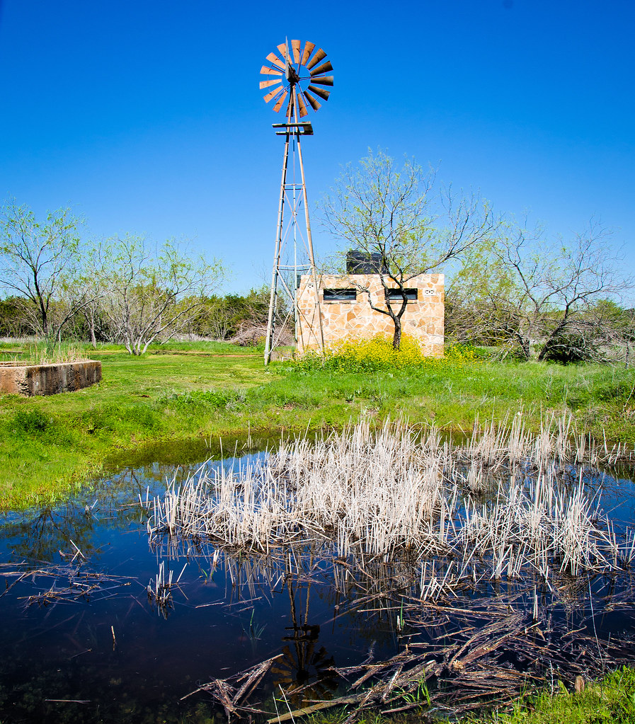 The seasonal pond and historic windmill at Acton Nature Center