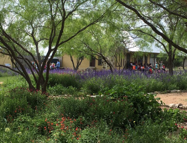 Families gathering near the education center and garden
